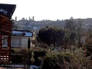 Ciliegio تْريتسو سولاّدا